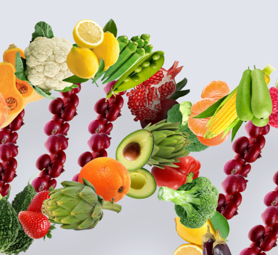 Warzywa i Owoce: Jak Przechowywać, Aby Cieszyć Się Ich Świeżością Przez Cały Rok